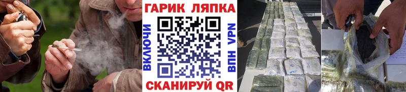 ГАШ Premium Болхов