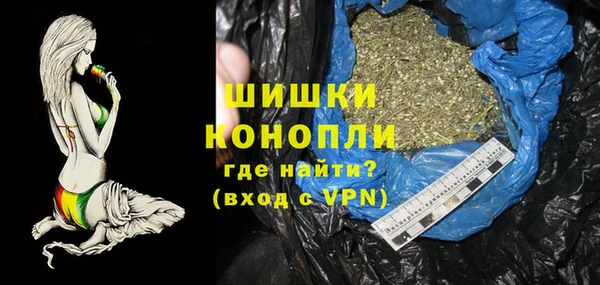 PSILOCYBIN Богданович