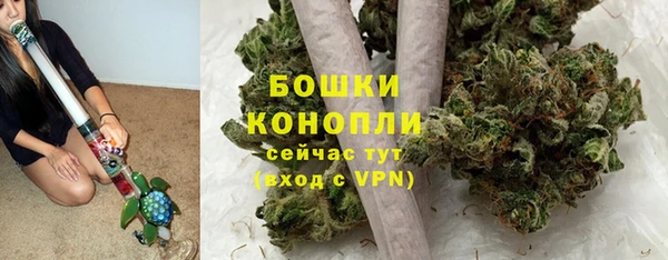PSILOCYBIN Богданович