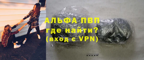 PSILOCYBIN Богданович