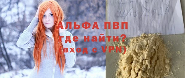 PSILOCYBIN Богданович
