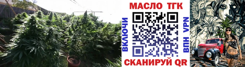 Купить закладки  Болхов  Дистиллят ТГК THC oil 