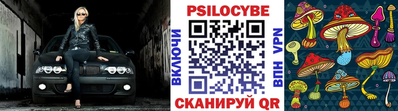 Псилоцибиновые грибы GOLDEN TEACHER  Купить закладки  Болхов 